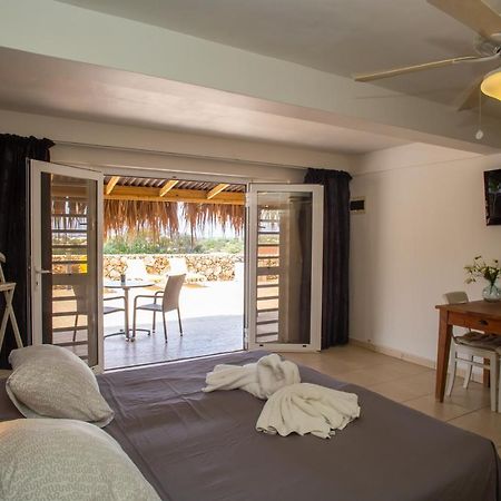 Hillside Resort Bonaire Kralendijk na wyspie Bonaire Zewnętrze zdjęcie
