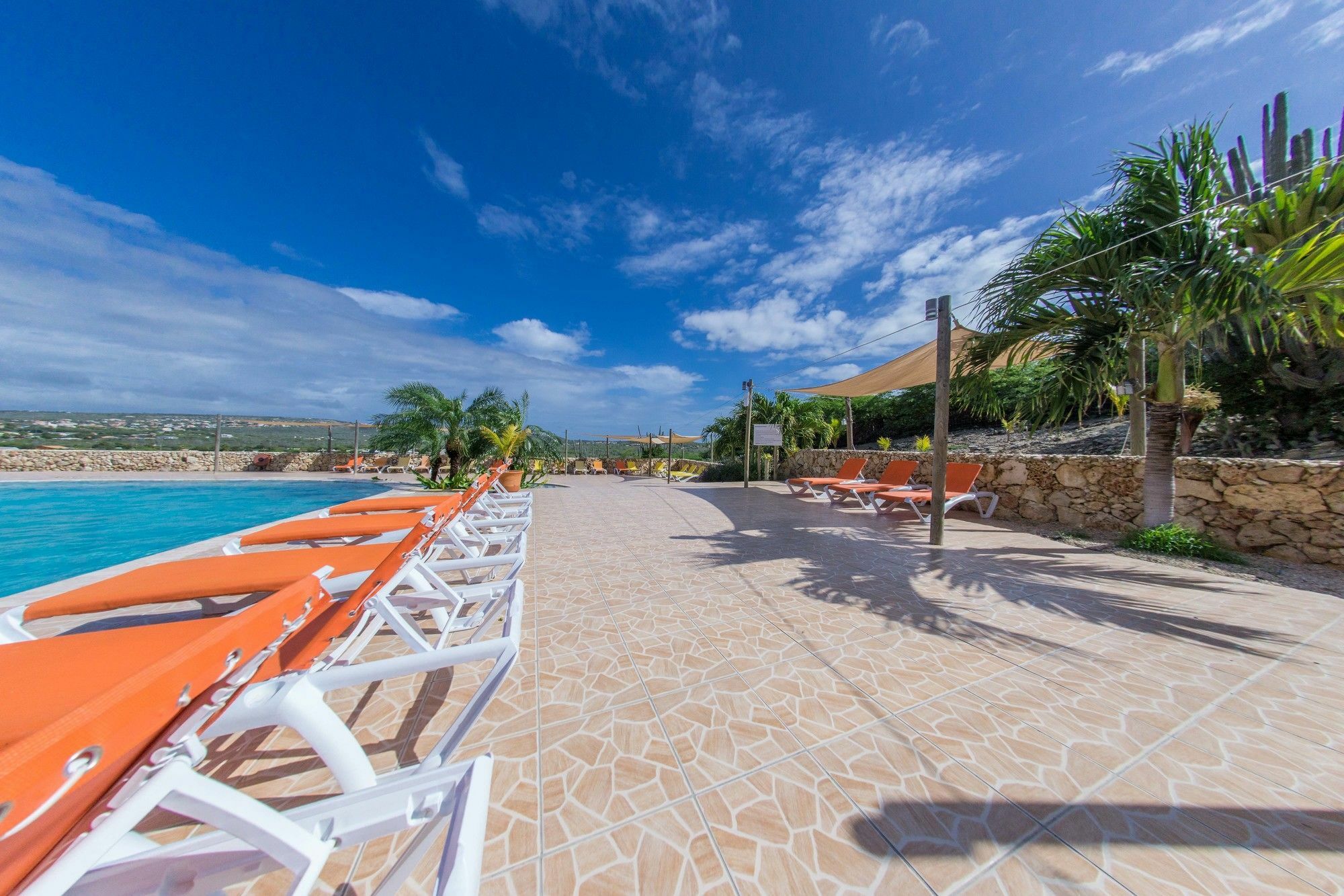 Hillside Resort Bonaire Kralendijk na wyspie Bonaire Zewnętrze zdjęcie