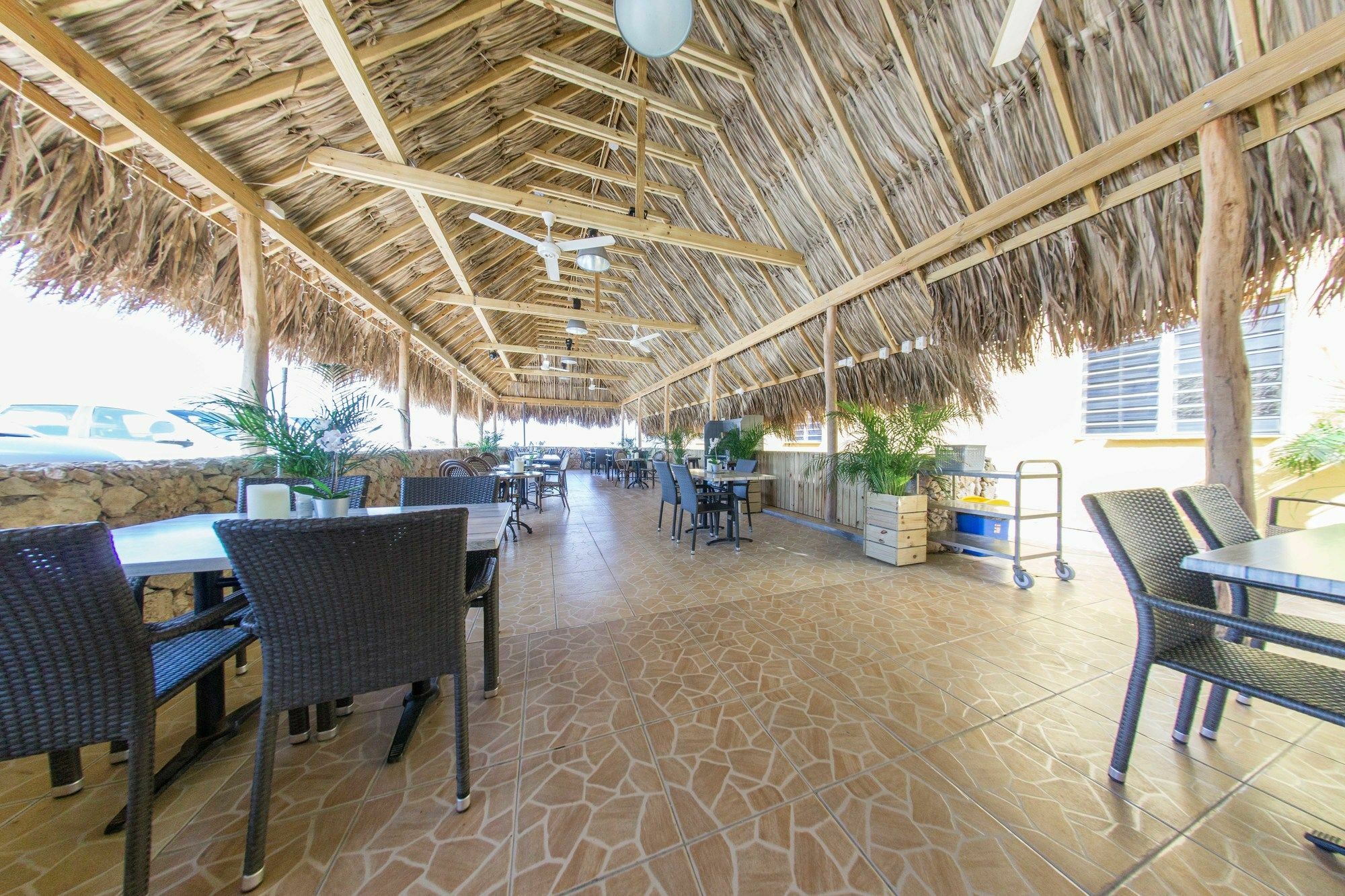 Hillside Resort Bonaire Kralendijk na wyspie Bonaire Zewnętrze zdjęcie